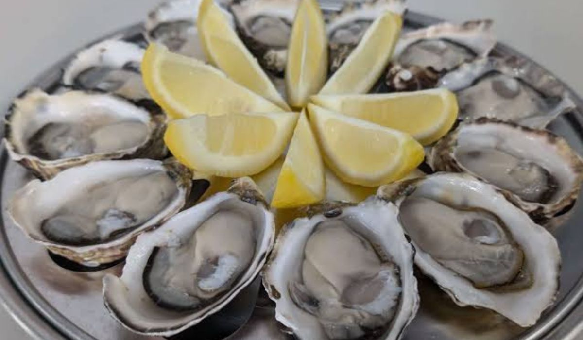 Oysters: Why Experts Call Them One of the Most Nutritious Foods